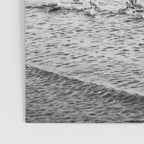 Seagulls II  | Fine art black and white beach photography | The Netherlands Poster Gallery Image 3