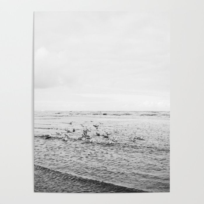 Seagulls II  | Fine art black and white beach photography | The Netherlands Poster Gallery Image 4