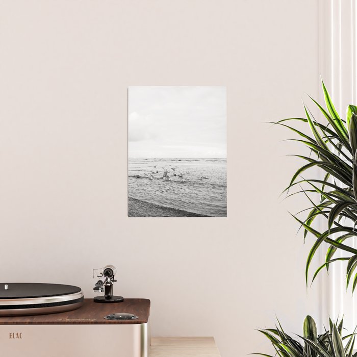 Seagulls II  | Fine art black and white beach photography | The Netherlands Poster Gallery Image 2
