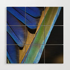 Blue Feathers #1 - Modern Photograph Wood Wall Art Gallery Image 1