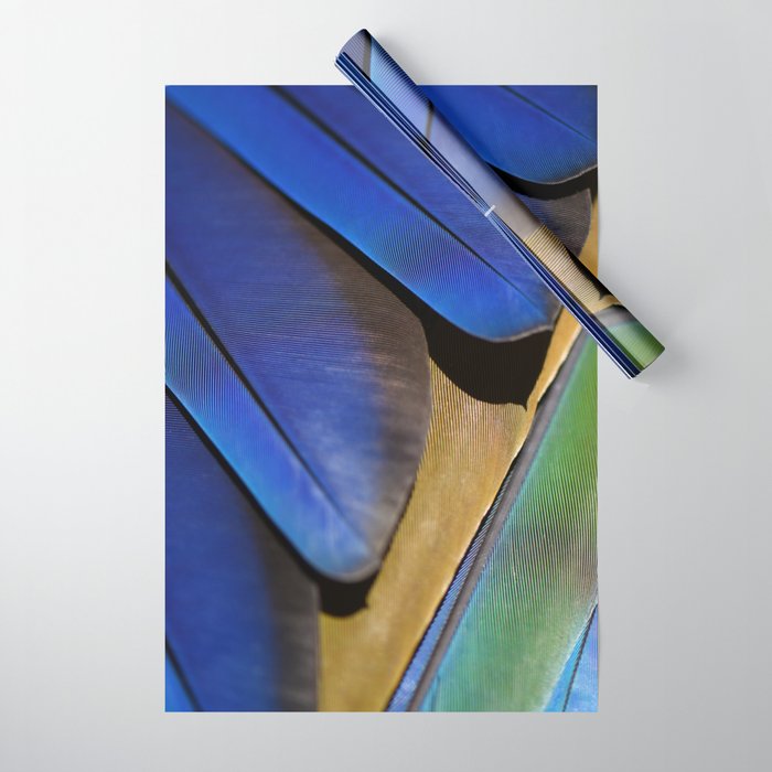 Blue Feathers #1 - Modern Photograph Wrapping Paper Gallery Image 1