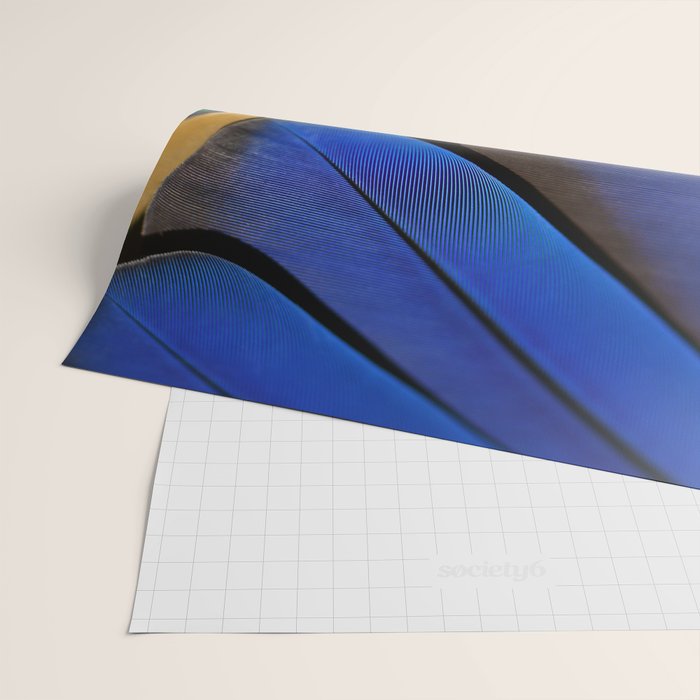 Blue Feathers #1 - Modern Photograph Wrapping Paper Gallery Image 2