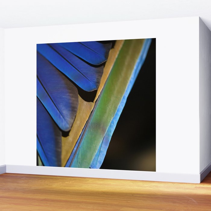 Blue Feathers #1 - Modern Photograph Wall Mural Gallery Image 2