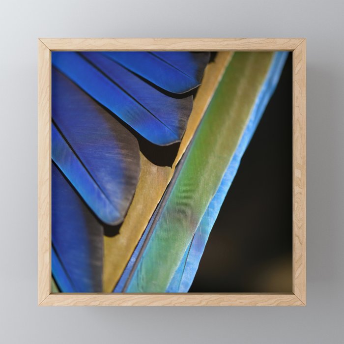 Blue Feathers #1 - Modern Photograph Mini Art Print Gallery Image 1