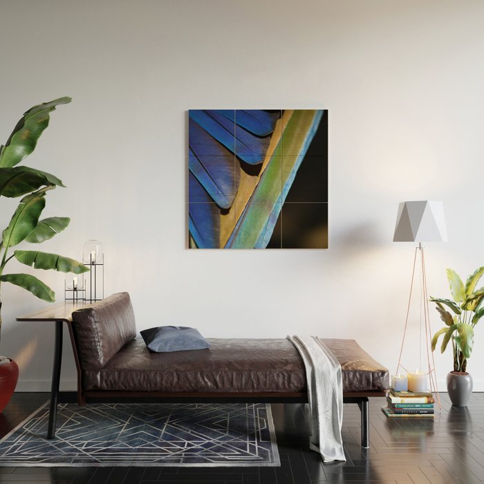 Blue Feathers #1 - Modern Photograph Wood Wall Art Gallery Image 2