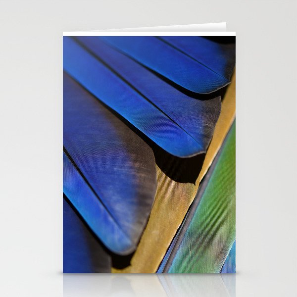 Blue Feathers #1 - Modern Photograph Stationery Card Gallery Image 1