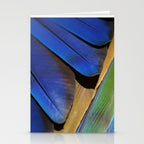 Blue Feathers #1 - Modern Photograph Stationery Card Gallery Image 2