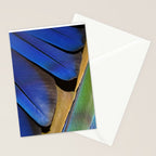 Blue Feathers #1 - Modern Photograph Stationery Card Gallery Image 2
