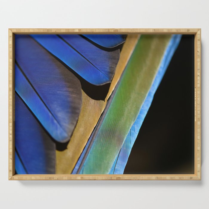 Blue Feathers #1 - Modern Photograph Serving Tray Gallery Image 1