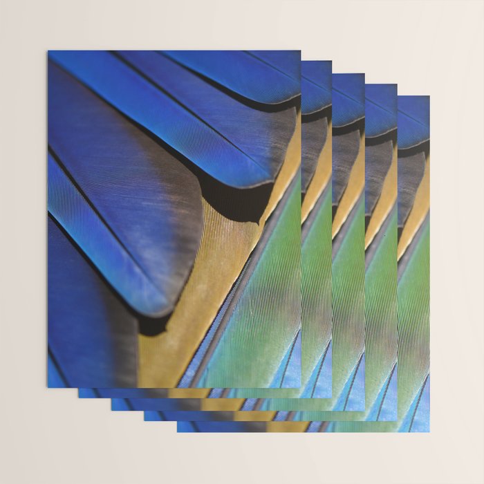 Blue Feathers #1 - Modern Photograph Wrapping Paper Gallery Image 3