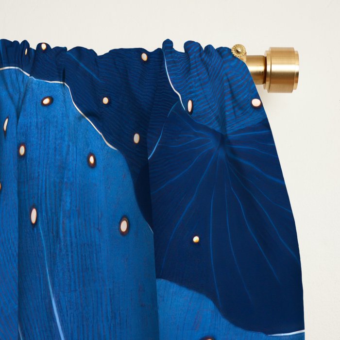 Floral Poster Flower Print Botanical Japanese Art Blue Wall Art dopamine decor Maximalist Wall Art Window Curtain Gallery Image 2