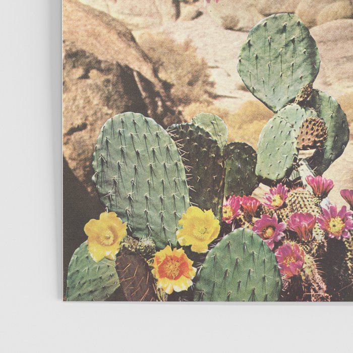 California Cacti Poster Gallery Image 3