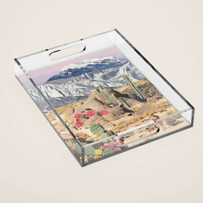 California Cacti Acrylic Tray Gallery Image 1