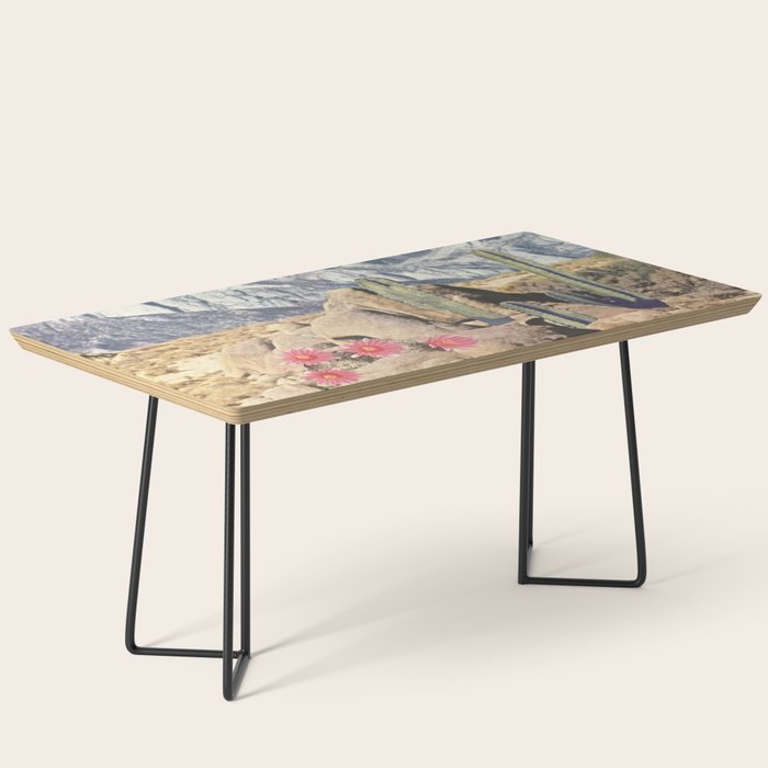 California Cacti Coffee Table Gallery Image 1