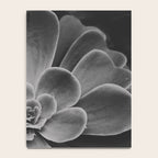 Symmetry - succulent black and white botanical Notebook Gallery Image 4
