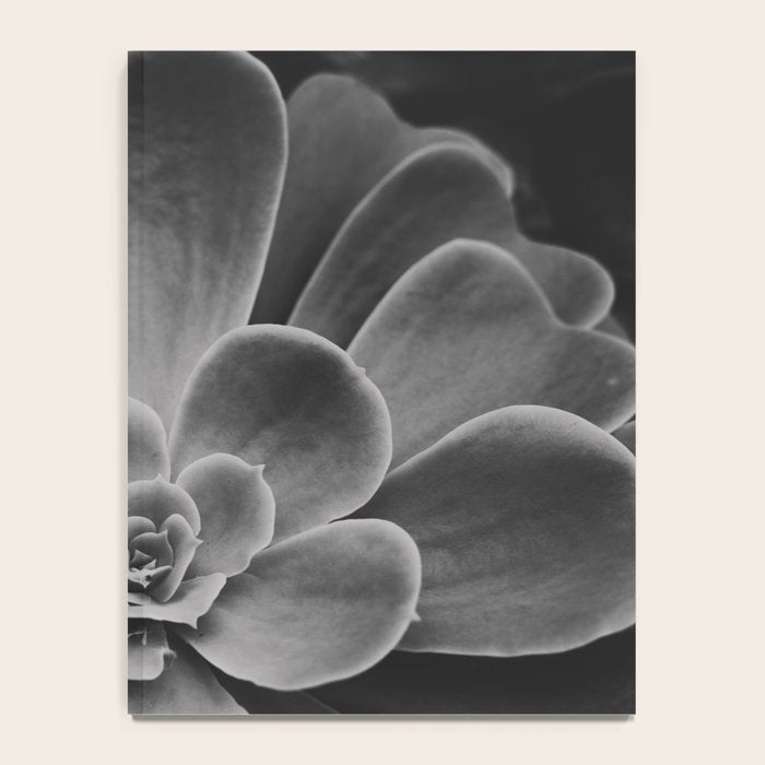 Symmetry - succulent black and white botanical Notebook Gallery Image 4