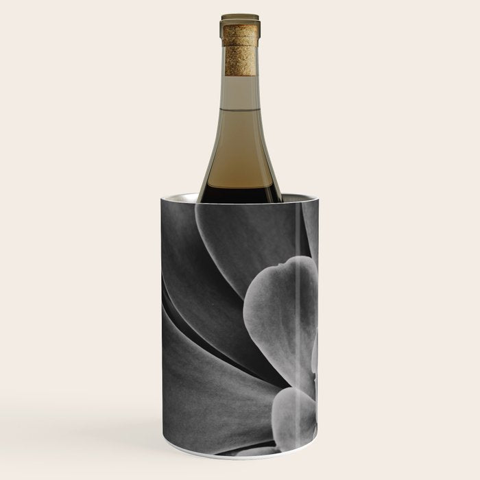 Symmetry - succulent black and white botanical Wine Chiller Gallery Image 2