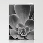Symmetry - succulent black and white botanical Stationery Card Gallery Image 2