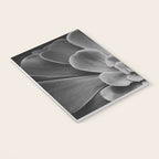 Symmetry - succulent black and white botanical Notebook Gallery Image 3