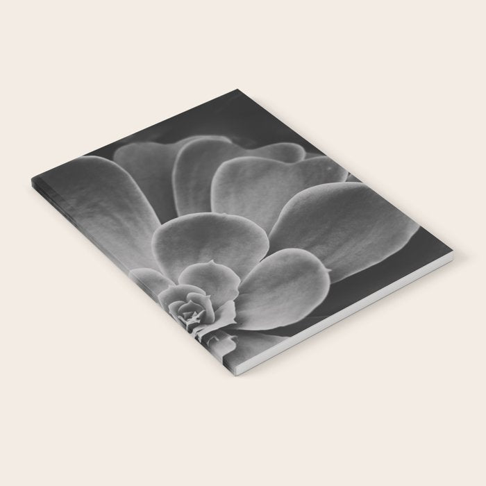 Symmetry - succulent black and white botanical Notebook Gallery Image 1