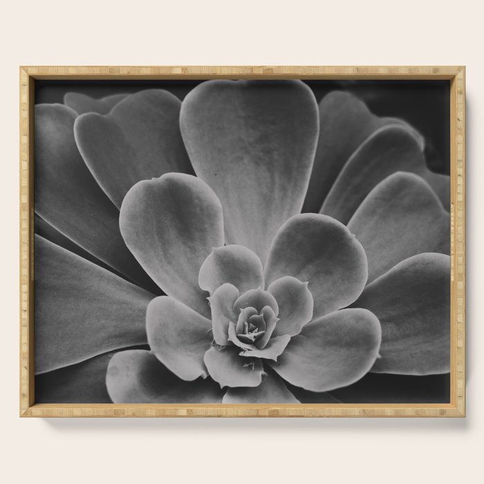 Symmetry - succulent black and white botanical Serving Tray Gallery Image 1