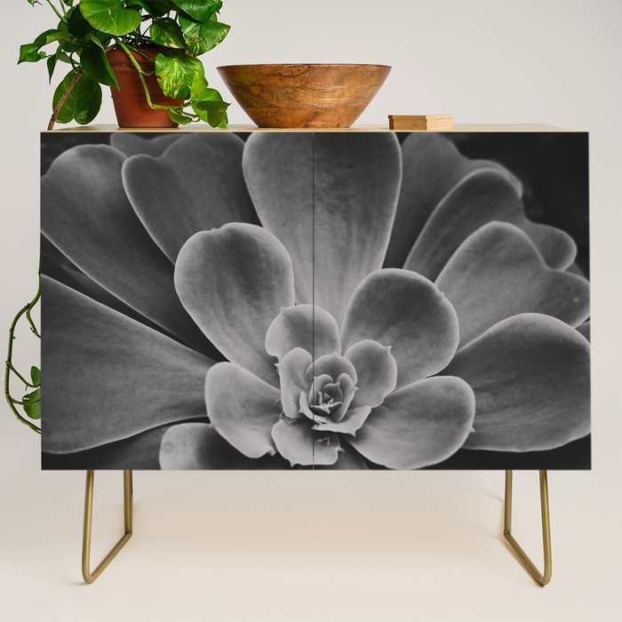 Symmetry - succulent black and white botanical Credenza Gallery Image 1