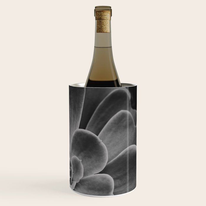 Symmetry - succulent black and white botanical Wine Chiller Gallery Image 3