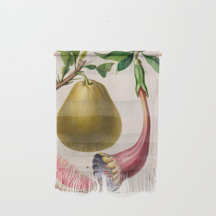 Citrus from "Flore dâAmÃ©rique" by Ãtienne Denisse, 1840s Wall Hanging Gallery Image 1