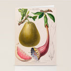 Citrus from "Flore dâAmÃ©rique" by Ãtienne Denisse, 1840s Stationery Card Gallery Image 2
