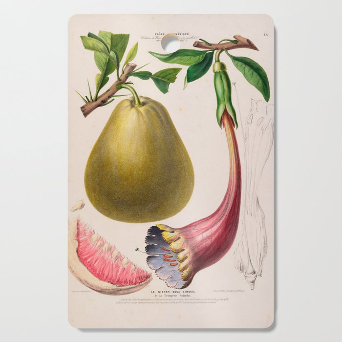 Citrus from "Flore dâAmÃ©rique" by Ãtienne Denisse, 1840s Cutting Board Gallery Image 1