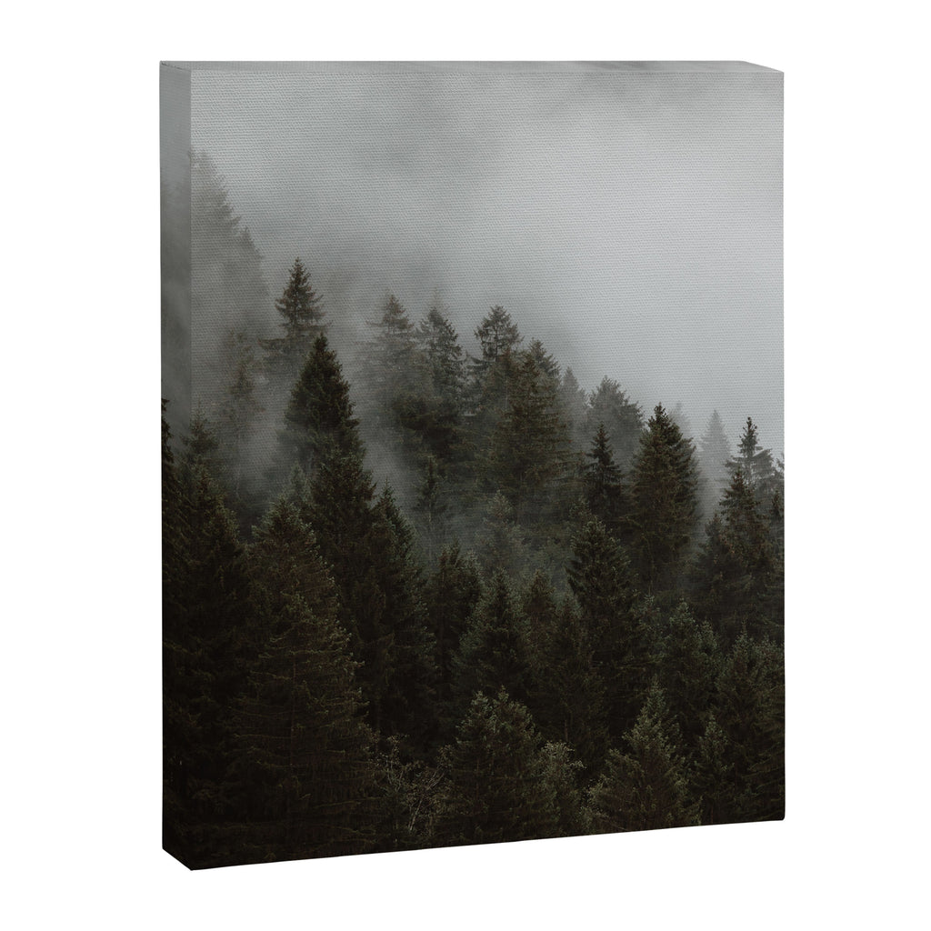 Evergreen Mountain Pines in the Fog Canvas Print Gallery Image 6