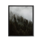 Evergreen Mountain Pines in the Fog Framed Canvas Print Gallery Image 6