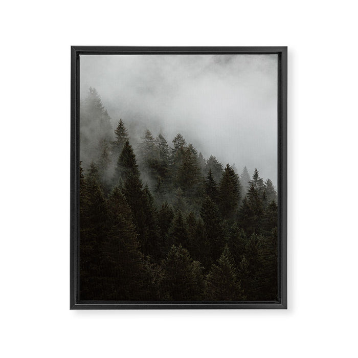 Evergreen Mountain Pines in the Fog Framed Canvas Print Gallery Image 1