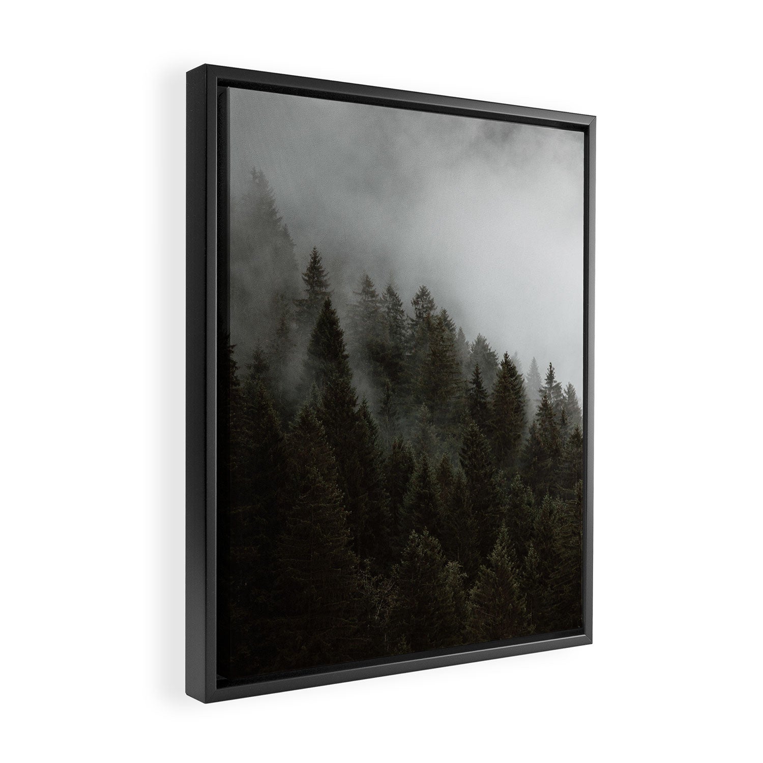 Evergreen Mountain Pines in the Fog Framed Canvas Print Gallery Image 2