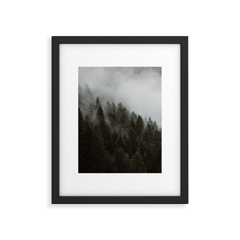 Evergreen Mountain Pines in the Fog Framed Art Print Gallery Image 5