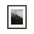 Evergreen Mountain Pines in the Fog Framed Art Print Gallery Image 5