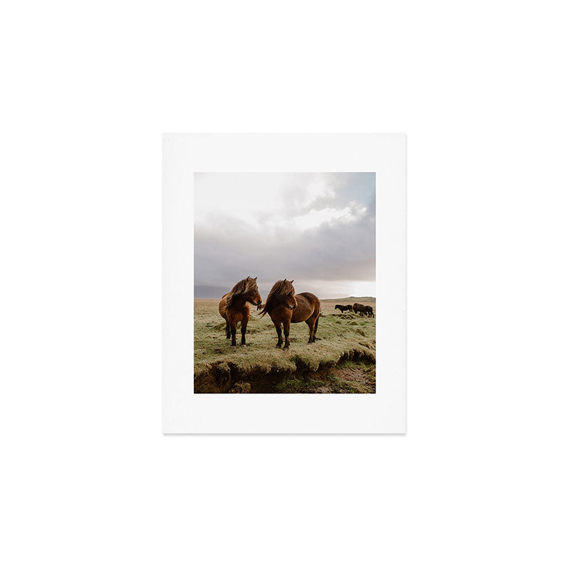 Two Icelandic Ponies Art Print Gallery Image 1
