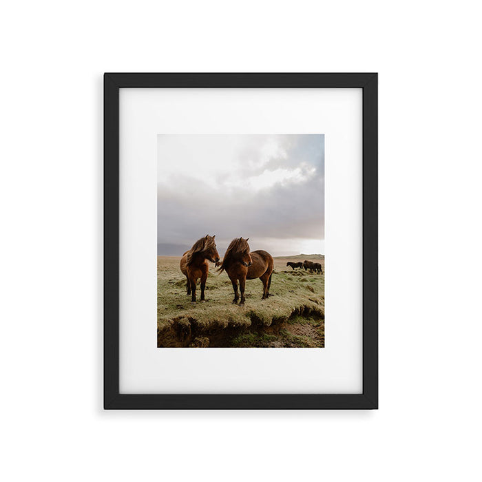 Two Icelandic Ponies Framed Art Print Gallery Image 1