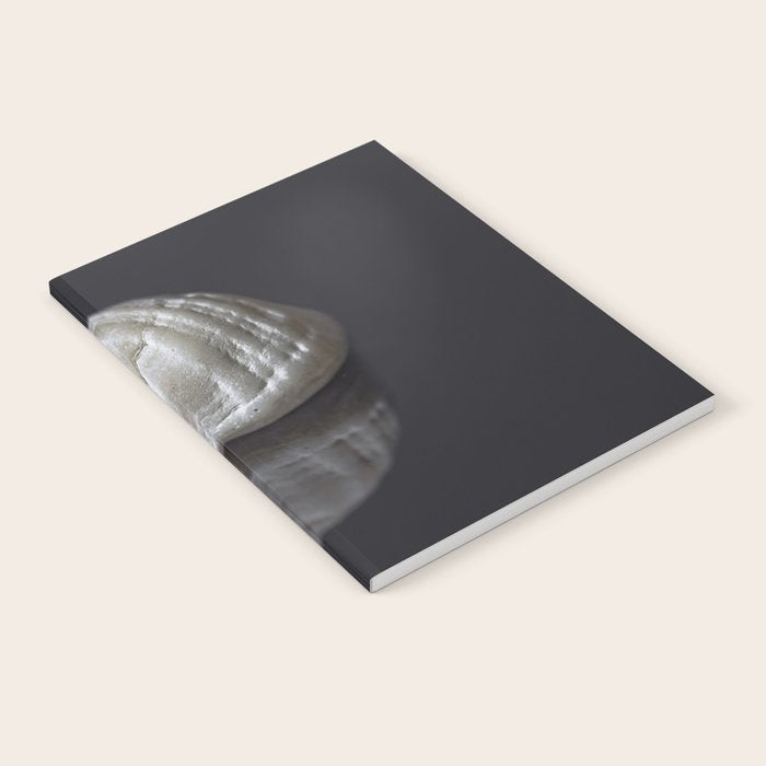 Seashell snail reflection Notebook Gallery Image 2