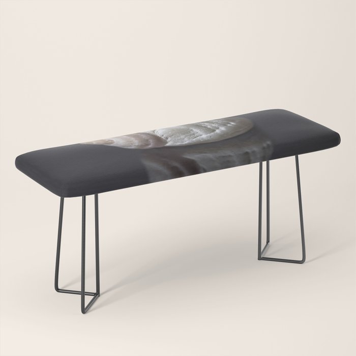 Seashell snail reflection Bench Gallery Image 1