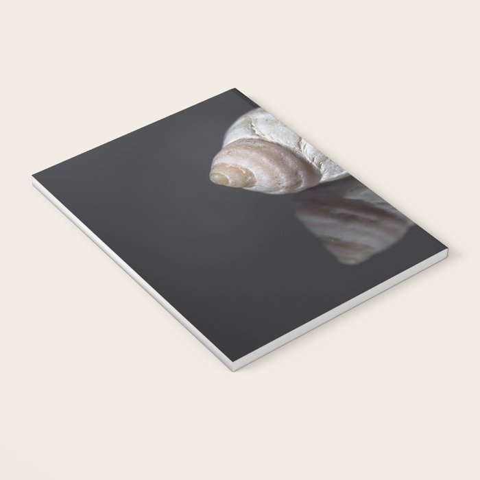 Seashell snail reflection Notebook Gallery Image 3
