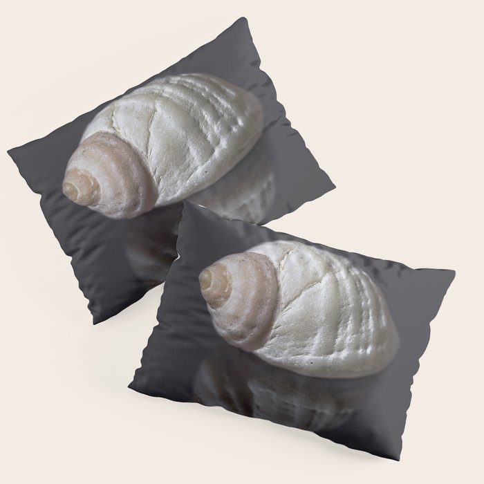 Seashell snail reflection Pillow Sham Gallery Image 1