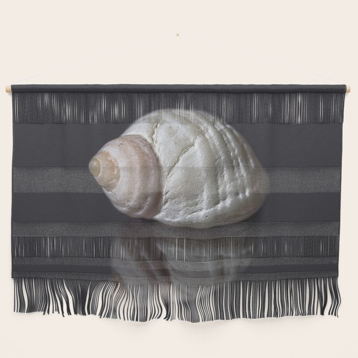 Seashell snail reflection Wall Hanging Gallery Image 1