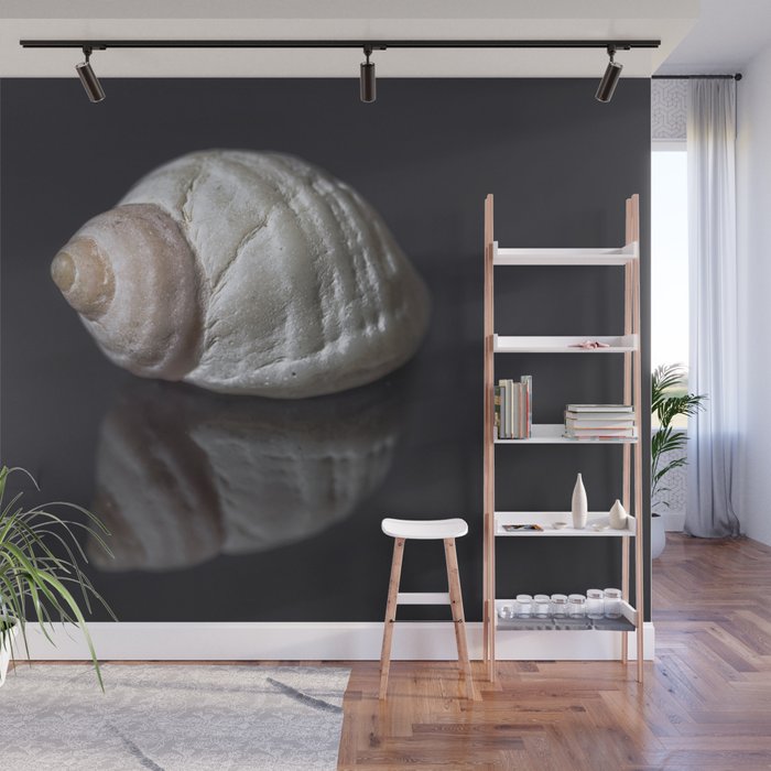 Seashell snail reflection Wall Mural Gallery Image 1
