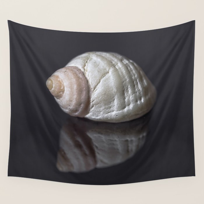 Seashell snail reflection Wall Tapestry Gallery Image 4