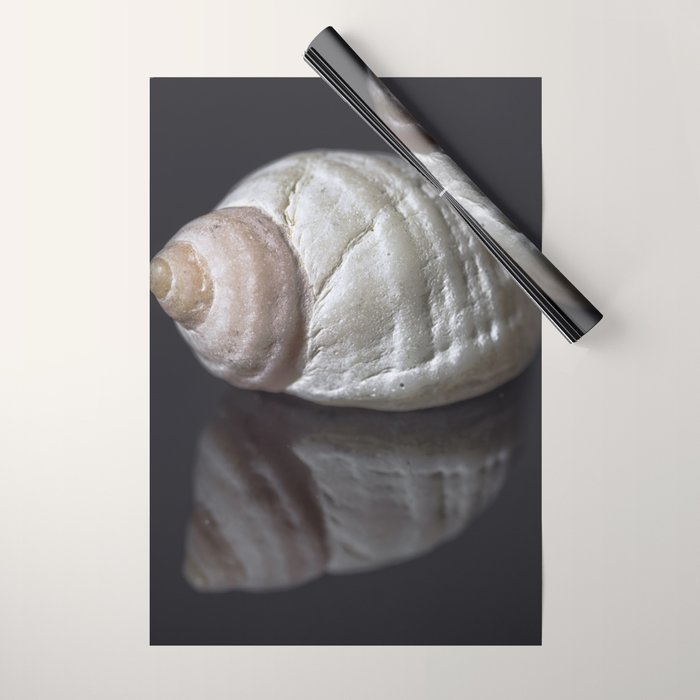 Seashell snail reflection Wrapping Paper Gallery Image 1