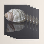 Seashell snail reflection Wrapping Paper Gallery Image 3