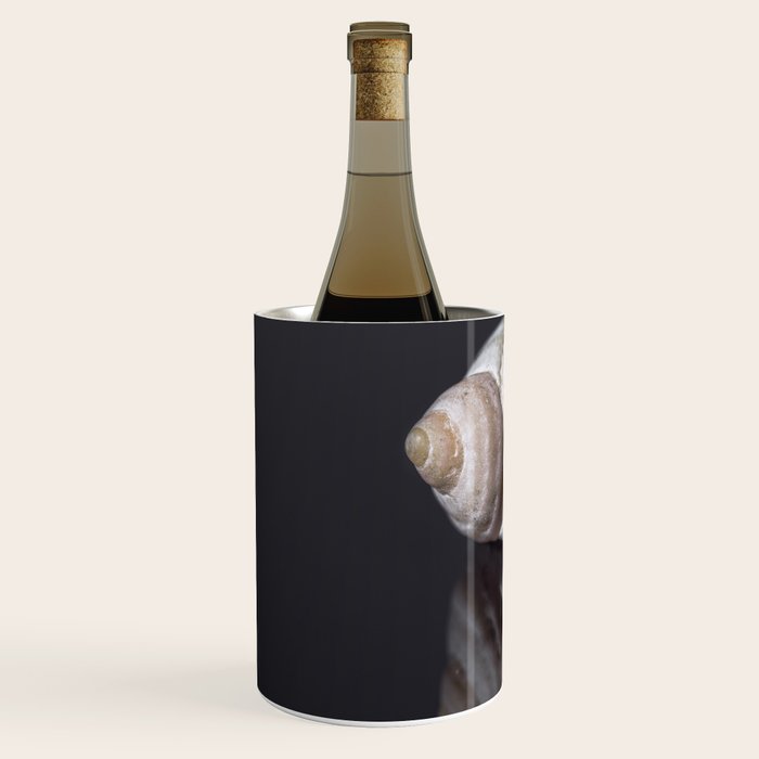Seashell snail reflection Wine Chiller Gallery Image 2