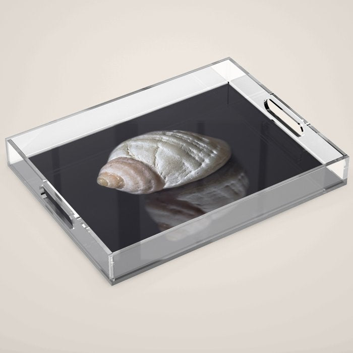Seashell snail reflection Acrylic Tray Gallery Image 1
