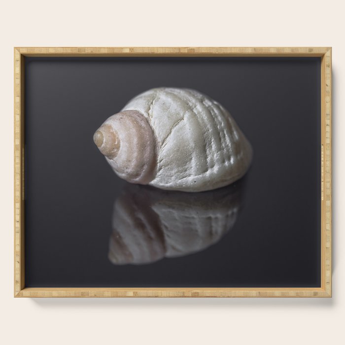 Seashell snail reflection Serving Tray Gallery Image 1